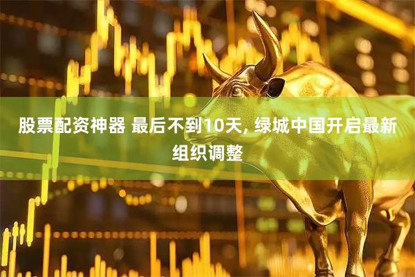 股票配资神器 最后不到10天, 绿城中国开启最新组织调整