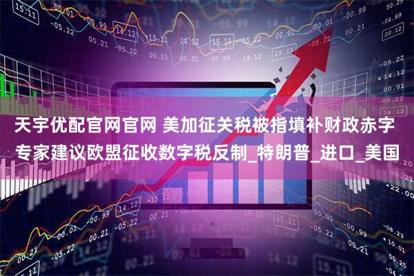 天宇优配官网官网 美加征关税被指填补财政赤字 专家建议欧盟征收数字税反制_特朗普_进口_美国